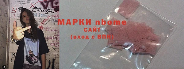 2c-b Инсар