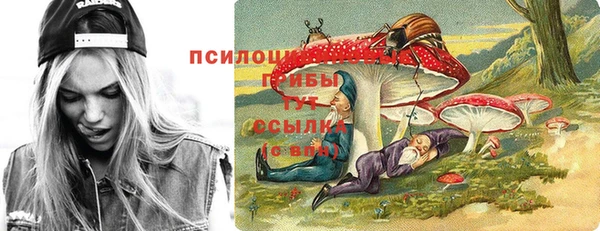 МДПВ Инта