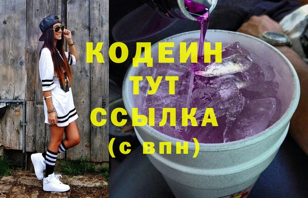 2c-b Инсар
