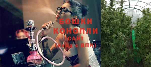 МДПВ Инта