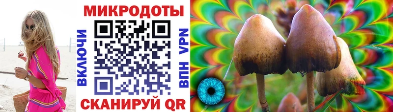 Псилоцибиновые грибы Cubensis  как найти наркотики  Череповец 