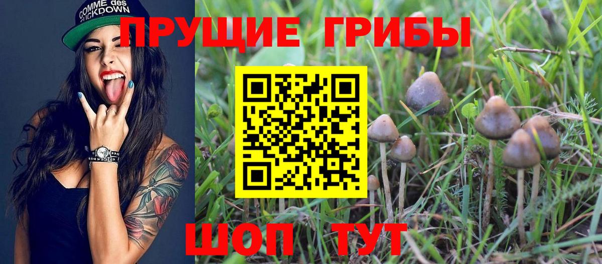 Галлюциногенные грибы прущие грибы  Вход с VPN  даркнет сайт  Череповец 
