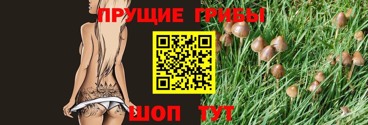 Псилоцибиновые грибы мухоморы Череповец